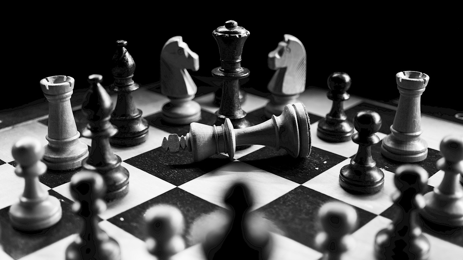mutzone – Portrait Roy Büllhardt, Strategie, Transformation, Leadership
